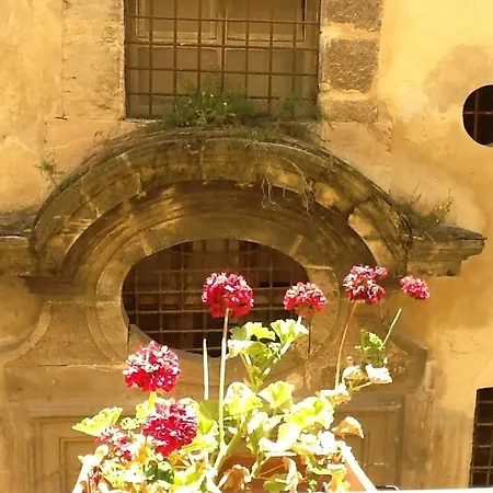At Kalsa Quiet Flowered Terrace! Free Parking! Ideal For Remote Working! Apartment *