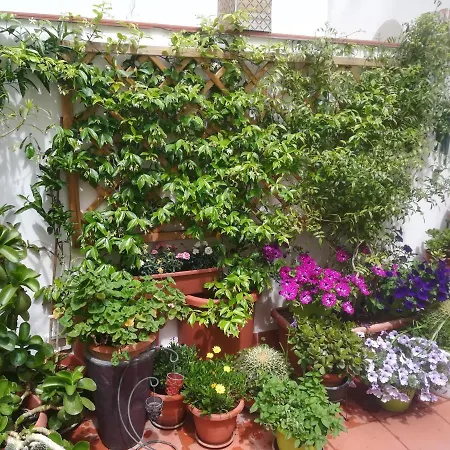 At Kalsa Quiet Flowered Terrace! Free Parking! Ideal For Remote Working!