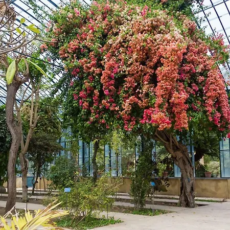 At Kalsa Quiet Flowered Terrace! Free Parking! Ideal For Remote Working! Apartmán Palermo