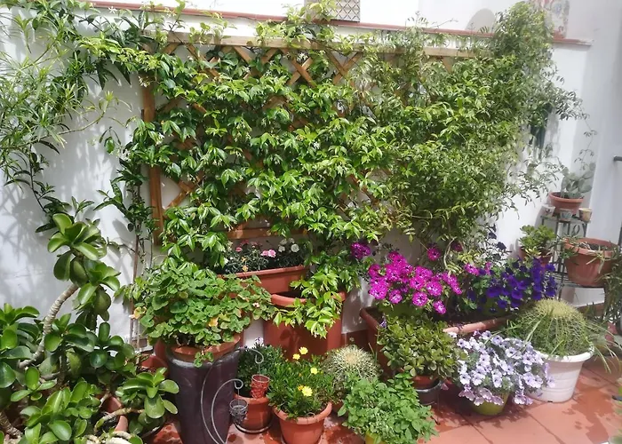 In The Heart Of Kalsa, A And Quiet Terrace, Free Park